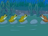6 Frogs