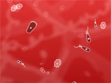 Microbe Kombat