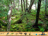 Hidden Object - Jungle