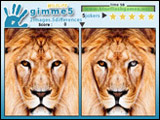 Gimme 5 Wildlife