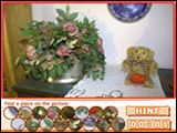 Funny Hiddens - Bear
