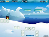 Crazy Penguin