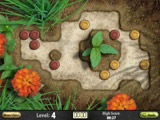 Rock Garden Deluxe