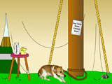 Animal Shelter Escape 2