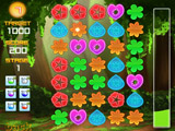 Flower Puzzle