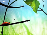 Larva Dream