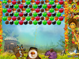 Mushroom Passion