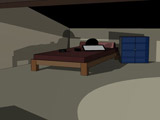 Attic Escape