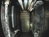 Scariest Cellar Door