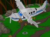 Crashed Plane Escape