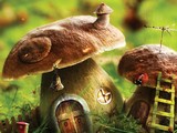 Hidden Stars - Mushrooms