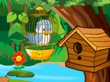 Sweet Bird Escape