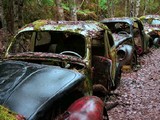 Abandoned Cars In Belgium