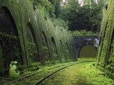 Abandoned Forest Train Route Escape