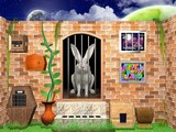 Rabbit Escape 3