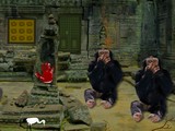 Monkey Temple Escape