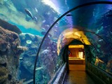 Escape from Sea Aquarium