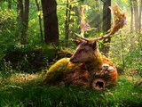 Summer Deer Forest Escape