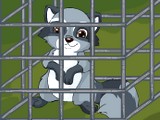 Raccoon Escape