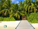 Tropical Paradise Escape
