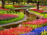 Easter Nature Garden Escape Easter Nature Garden Escape