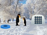 Penguin Snow Land Escape