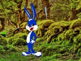 Mossy Bunny Forest Escape