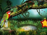 Fantasy World Parrot Escape