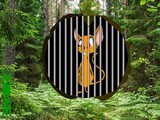 Poison Forest Fox Escape