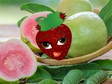 Guava Fruit Land Escape