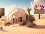 Camel's Release: Desert Discovery