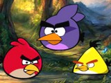 Angry Bird Jungle Escape