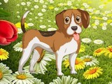 Flower Garden Dog Escape