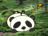 Wakeup the Snooze Panda