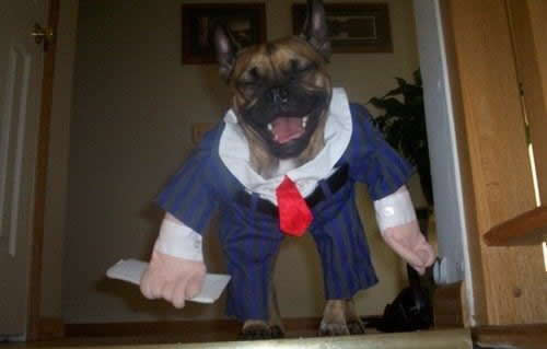 ������� ������