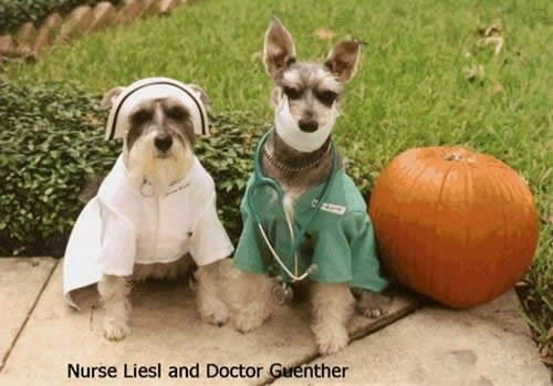 ������� ������