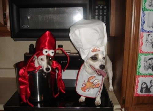 ������� ������