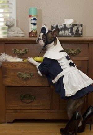 ������� ������