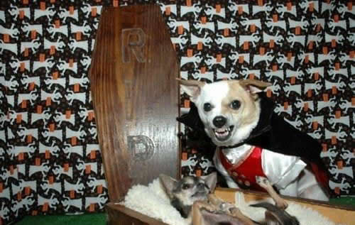 ������� ������