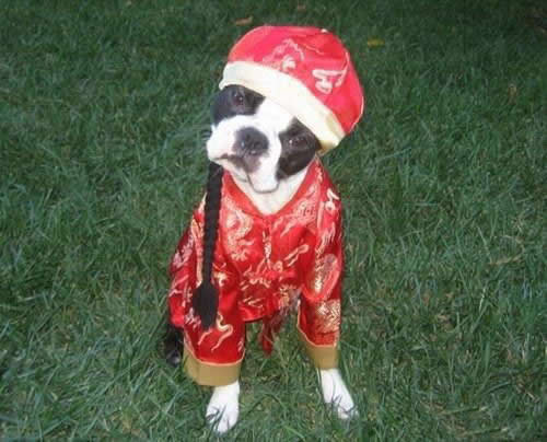 ������� ������