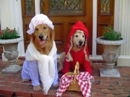 ������� ������