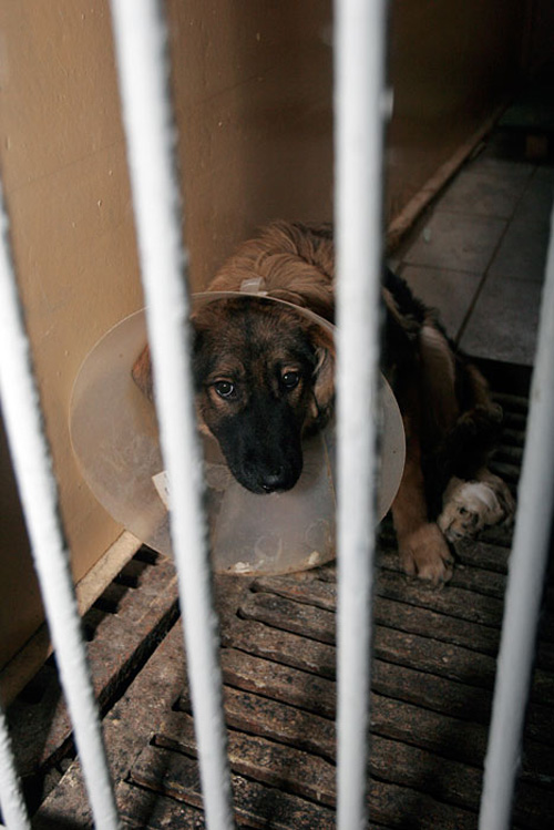 ����� ��� �����