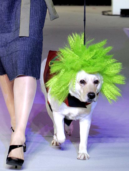 ������� ����