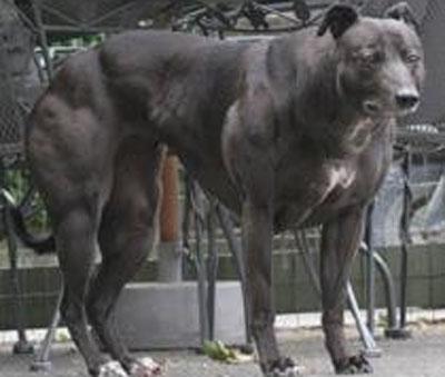 ������-������