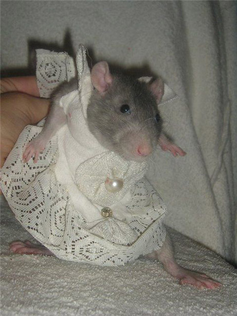 �������� ������