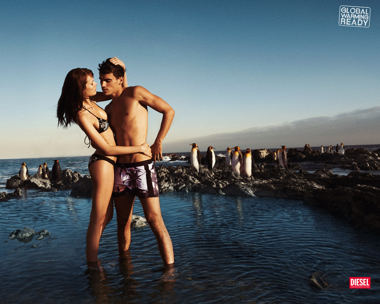 Publicidad Publicidad