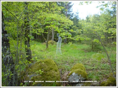 ���������� � ����