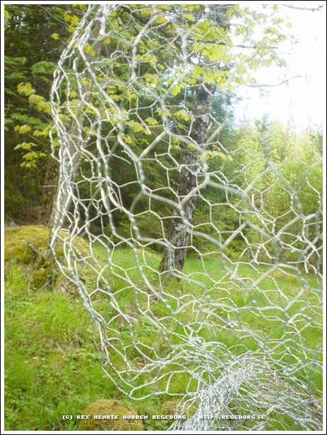 ���������� � ����