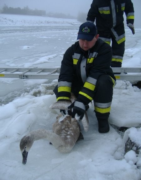 ������ � �����