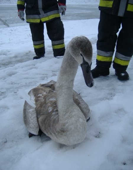 ������ � �����